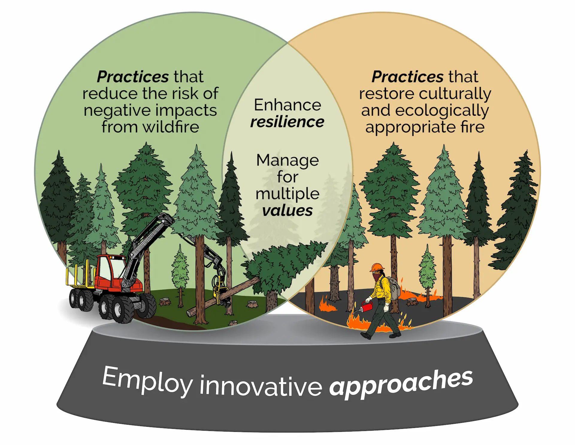SIP-FireForestry-VennDiagram