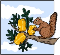 Chippy chipmunk illustration on a tree branch