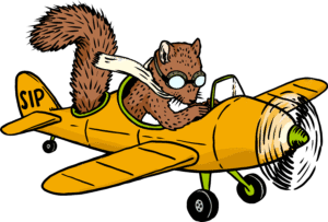 chippy illustration flying